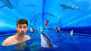 LARGEST SHARK TUNNEL  5000000 Liter AQUARIUM [upl. by Nappy]