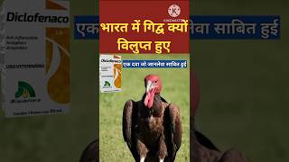 diclofenac दवा जिसके कारण भारत से विलुप्त हुए गिद्व । vulture news [upl. by Nnateragram]