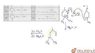 Match the column HEM  Hoffmann exhaustive methylation followed by eliminaation [upl. by Noryt]