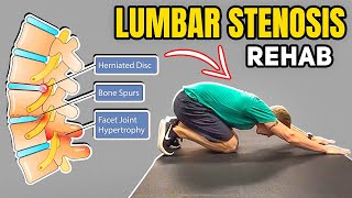 2 Exercises for Low Back Lumbar Stenosis [upl. by Mario419]