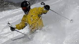 Hakuba Valley Tsugaike Ski Accommodation [upl. by Ednarb]