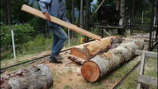 Home made twin blade sawmill in action [upl. by Queenie]