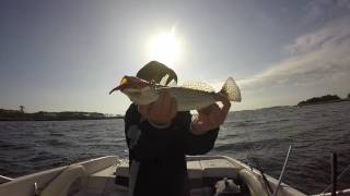 Trout And Red Fish Fishing In St Marks Florida [upl. by Holbrook173]