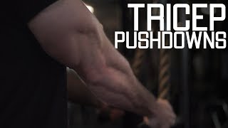 Tricep Pushdowns  Best Rope Extension Variations [upl. by Ives]