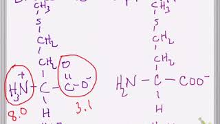 Effect of pH and pKa on Amino Acid Structure [upl. by Romola]