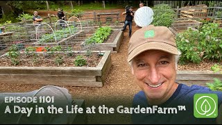 Growing a Greener World Episode 1101 A Day In The Life at the GardenFarm™ [upl. by Iroc]