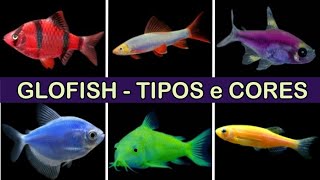 Glofish  Tipos e cores de peixes fluorescentes para aquário peixesornamentais [upl. by Namref]