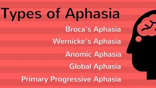 Types of Aphasia MAPC ugcnet [upl. by Radborne]