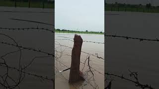 Tufani barish in rajsthan🚩🚩🚩🌧️🌧️🌧️ [upl. by Aekahs503]