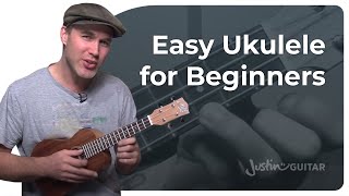 How to Play the Ukulele 4 Easy Chords amp Many Songs [upl. by Liz]