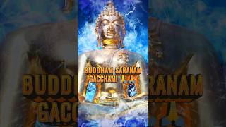 Buddham Sharanam Gachchami 🙏l Happy Buddha Purnima 🙏 viral bhakti [upl. by Noj936]