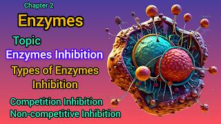 Enzymes Inhibition  Types of Enzymes Inhibition  chapter 2  enzymes enzo bio [upl. by Eelyma]