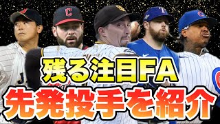 【MLB】FA市場に残る注目の先発投手10人を紹介！ [upl. by Zerla]