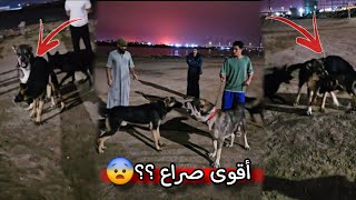 أخيرآ كدرت أكمل جزء من بيت المزرعة 🌲 كلبي الكانجال يفقد السيطرة  😨🔥 [upl. by Retnuh]