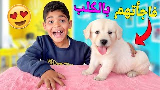 اخيرافاجأت يونس ويانيس✨بالكلب الجديد🐶ردة فعلهم صدماتنا😱 [upl. by Graehl633]