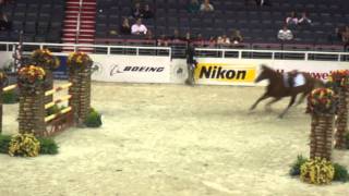 Chaos at the Washington International Horse Show [upl. by Ebbarta]