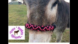 Zig Zag paracord noseband for rope horse halter [upl. by Ynaitirb624]