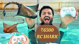 Remote Control Shark 24G High Simulation RC Fish Swimming Unboxing and Testing  JMV TOYS [upl. by Khichabia]