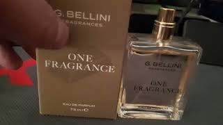 MENS FRAGRANCE REVIEW There are some GREAT copies out there [upl. by Ameerak]