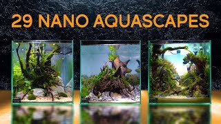 TwentyNine Of the Best Nano Aquascapes In America [upl. by Raney]