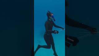 Freediving with Tiger Sharks at Tiger Beach [upl. by Ventura]