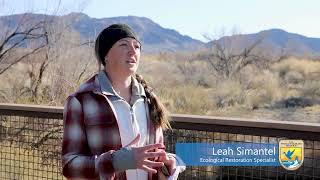 Ash Meadows NWR Video [upl. by Lareena]