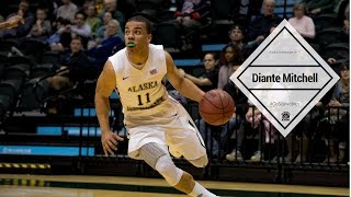 61 PG Diante Mitchell is UNDERRATED  Alaska Anchorage Lead Guards Official Senior Season Mixtape [upl. by Simara]