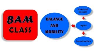 BAM Class Modifications [upl. by Rabma]