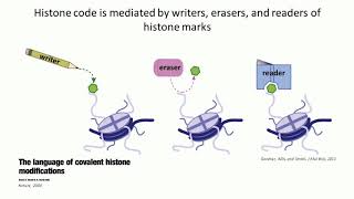 Deciphering Cancer The Intersection of Epigenetics Metabolism and Tumorigenesis [upl. by Iren]