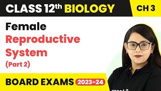 Class 12 Biology Chapter 3  Female Reproductive System Part 2  Human Reproduction NEET 202223 [upl. by Healy]