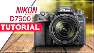 Nikon D7500 Tutorial  How To Setup Your DSLR [upl. by Yorle186]