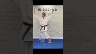 Hangetsu Kata First Kiai shotokan shorts hangetsu kata shotokankata [upl. by Yemrej668]