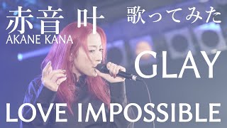 【女性が歌う】GLAY  LOVE IMPOSSIBLE covered by 赤音 叶 [upl. by Odraboel]