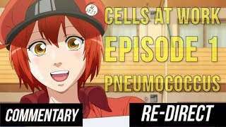 Blind Reaction Cells at Work  Episodes 1  Pneumococcus [upl. by Frazer]