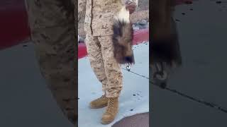 What we find at work army marines military trashpanda [upl. by Ulani780]