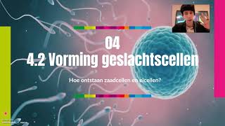 V4  Vorming van geslachtscellen  meiose  42 [upl. by True]