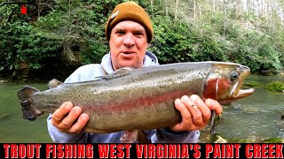 Trout Fishing West Virginias Paint Creek [upl. by Loveridge]