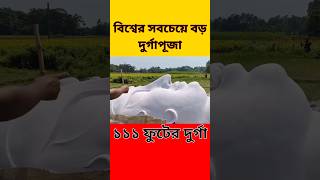 বিশ্বের সবচেয়ে বড় দুর্গাপূজা বন্ধ করে দেওয়া হলো। কেন  Durga Puja 2024 [upl. by Ayekan]