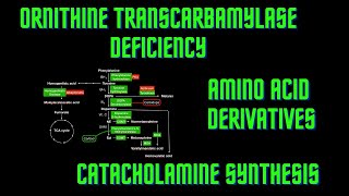 USMLE Step 1  Lesson 64  Ornithine Transcarbamylase Deficiency Amino Acid Derivatives [upl. by Ennaeirb237]