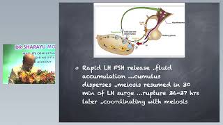 Luteinizing Hormone Luteinized Unruptured Follicle SIFA Reproductive Physiology Part 1 [upl. by Ocnarf]