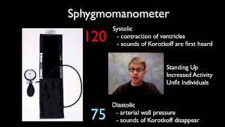 AP Biology Lab 10 Physiology of the Circulatory System [upl. by Treve]