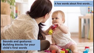 Sounds and Gestures Building Blocks for your Child’s First Words [upl. by Anelas]