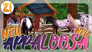 DER NEUE APPALOOSA 🐴 APPALOOSA TRAILER  NEUE PFERDE  Star StableSSO [upl. by Eecrad454]