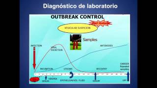 Diagnóstico de Laboratorio para Fiebre Aftosa [upl. by Mansur]