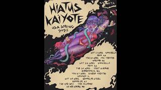 Hiatus Kaiyote  Live in Chicago  Full Set Audio Riviera Theatre • 42723 [upl. by Ettena]