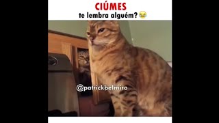 MELHORES MEMES DE ANIMAIS FALANTES ENGRAÇADOS PARTE 2 COMPILADO COM MEMES DE ANIMAIS FALANTES [upl. by Leila]