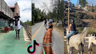 Equestrian TikTok 2024  Shorts Compilation 5 [upl. by Koren]