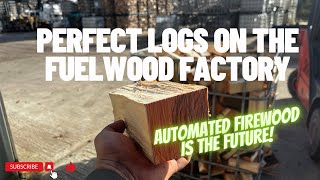 Day 133  Fuelwood Factory POWER Best logs on the market [upl. by Nyrtak]