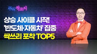 공명 정지우의 주식싹쓰리 상승 사이클 시작 반도체·자동차 집중싹쓰리 포착 TOP5  머니투데이방송 증시 증권 [upl. by Nirda798]