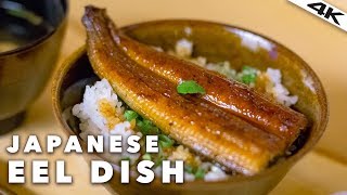 Japanese UNAGI EEL Restaurant in TOKYO  Roppongi Tokyo 4K [upl. by Hcone]